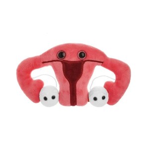 uterus plush